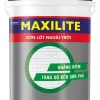 Maxilite 48C Lót Ngoài