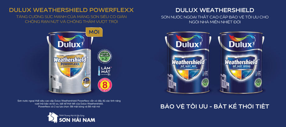 Dulux banner